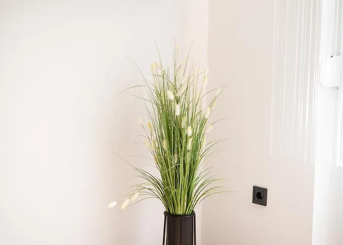 Palm * Makó